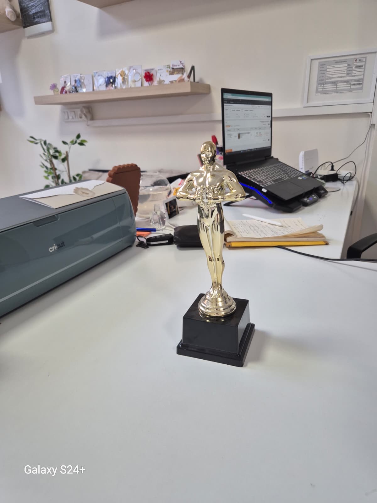 Kişiye Özel Oscar Başarı Ödül Kupası